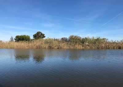 IMG_1851.JPG (85.2 KiB) 6314 mal betrachtet Bei einer Bootsfahrt sieht man viel Wasser...