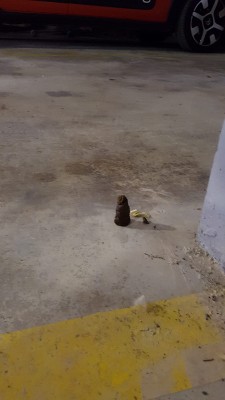 IMG-20181201-WA0005.jpg (89.41 KiB) 5541 mal betrachtet Und Künstler sind sie auch noch !