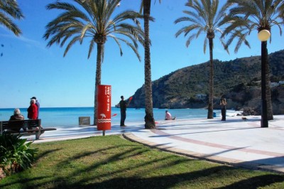 Albir