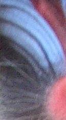 Was könnte das sein?