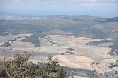 Im Hintergrund liegt Bocairent