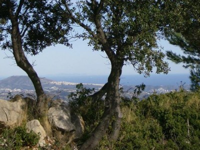 in der Ferne grüßt Ibiza
