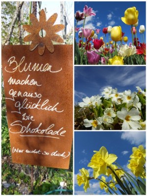 Blumen - Collage.jpg