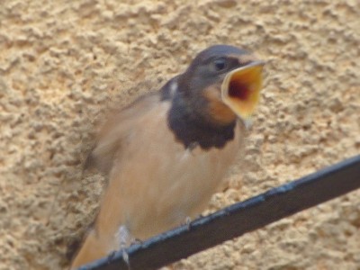P1150074.JPG