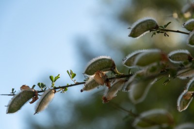 DSC_5696.jpg