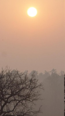 K800_DSC00059.JPG (37.29 KiB) 7673 mal betrachtet Die Sonne kommt hervor.