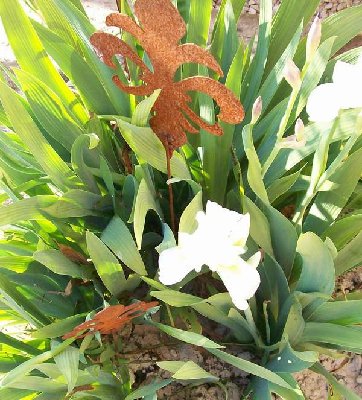 Fleur de Lis.JPG
