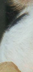 Rätsel-2.jpg