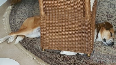 20190819_174440-2.jpg
