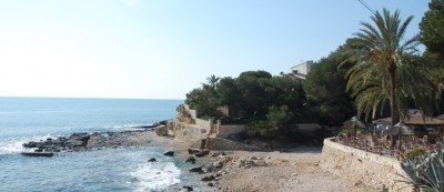 Palme 1.JPG (146.79 KiB) 3167 mal betrachtet Gesunde Palme