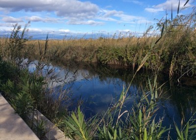 358CC1CB-13AC-488E-9A30-D336DA5E1D33.jpeg (154.65 KiB) 4886 mal betrachtet Am Stadtrand von Peñíscola