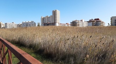 721D7A93-F49F-4EBC-AE1C-8B551B8B14F6.jpeg (189.95 KiB) 4886 mal betrachtet Man muss ja nicht hierher schauen