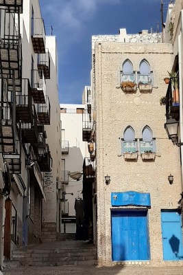 B6E7172E-F48D-4A2E-AE46-B38285F1AF31.jpeg (189.32 KiB) 5629 mal betrachtet La Casa de las conchas