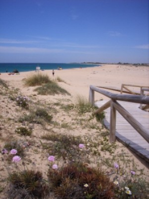 Cabo Trafalgar 09.JPG