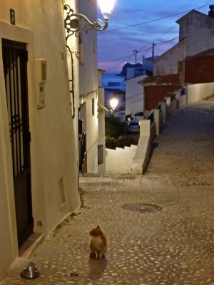P1180127.JPG