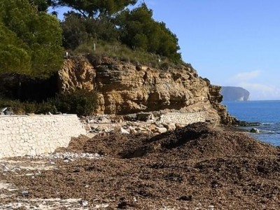 genauso wie diese zusammengebrochene Natursteinmauer