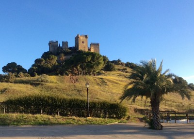 41C14E0C-B364-49D2-9111-D2F0B51DC0EC.jpeg (196.31 KiB) 3615 mal betrachtet Castillo de Almodóvar del Rio