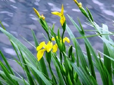 Ostern 09 Spanien 422 - Kopie.JPG