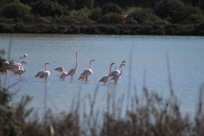 IMG_9274.jpg