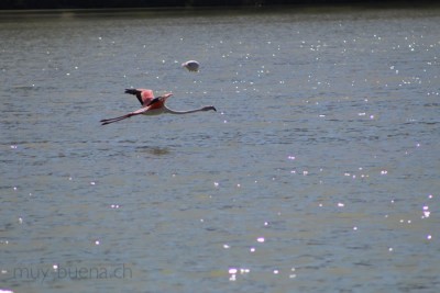 IMG_9389.jpg