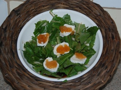 Löwenzahnsalat.JPG (127.62 KiB) 2637 mal betrachtet Löwenzahnsalat mit Ziegenkäse und Aprikosenmarmelade