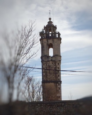 Auf manchem Kirchturm wachsen die Bäume in den Himmel hinein.