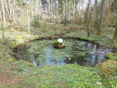 Ein schönes Wasserplätzchen