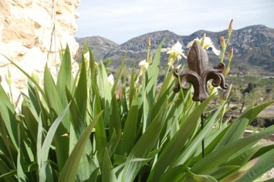 Die Fleur de Lis aus Eisen blüht ganzjährig :-)