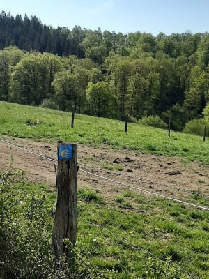 Auch der Jacobsweg führt durchs Wildenburger Land