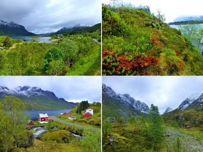 Lofoten_015.JPG