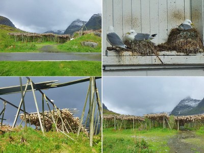 Lofoten_004.JPG