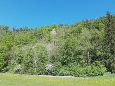 Nach erfolgreicher Abholung machen wir uns auf die Rückfahrt durchs Eyachtal