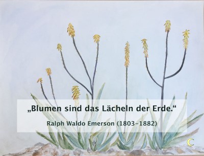 blumen.jpg