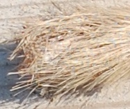 Wozu gehört dieser &quot;Puschel&quot; (Schwänzchen)?