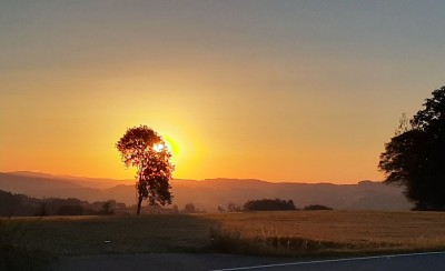 29B30666-4837-4F8E-82E2-023AB8A0C9C3.jpeg (189.84 KiB) 3271 mal betrachtet Die Sonne übernimmt das Zepter