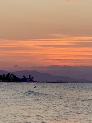 E10033C1-66A0-47B2-B07C-C80D19E9FB00.jpeg (76.67 KiB) 3220 mal betrachtet Schwimmen bei Sonnenuntergang in Dénia