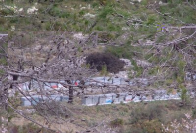 Bienen.JPG (142.67 KiB) 3444 mal betrachtet Bienenkästen in Spanien