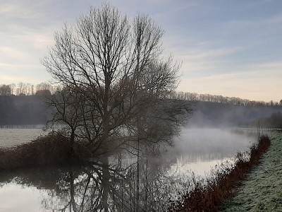 und Nebel wabert vom Wasser hoch