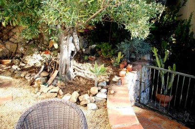 Glück gehabt: Der Baum und die Gartenmöbel wurden<br /> von den Schwarzkitteln verschont.