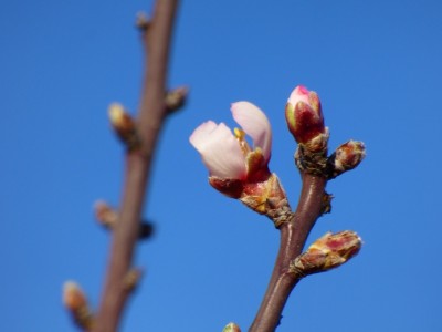 P1250141.JPG