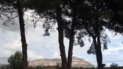 les bassetes 003 (Copy).jpg