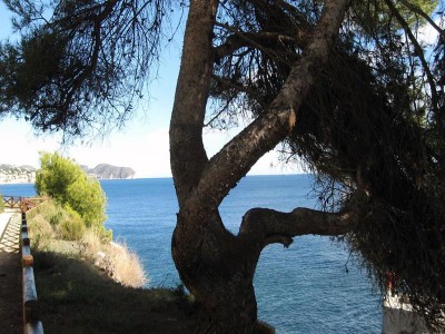 les bassetes 029 (Copy) (Copy).jpg