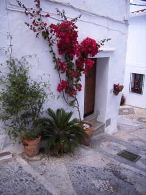 Frigiliana 07.jpg