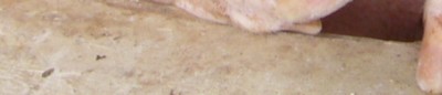 6 b.jpg