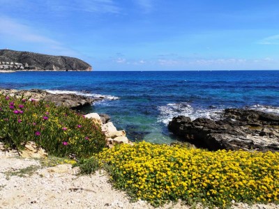 Frühling am Meer.JPG