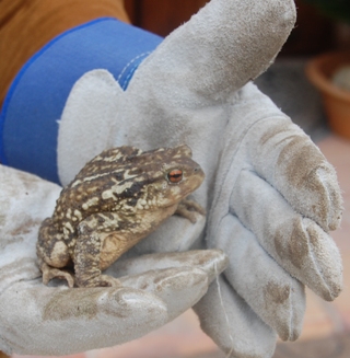 Mit Handschuhen kann nichts passieren.