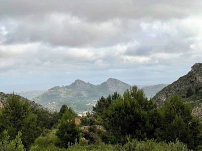 Ausblick.jpg