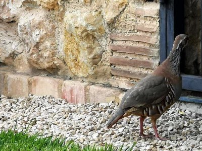 13 Mal schauen, was drinnen abgeht.JPG (117.63 KiB) 5141 mal betrachtet Mal schauen, was dort drinnen abgeht