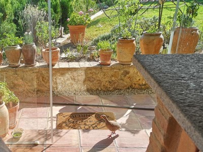 1.JPG (127.95 KiB) 2395 mal betrachtet Zielstrebig