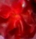 Was ist das?